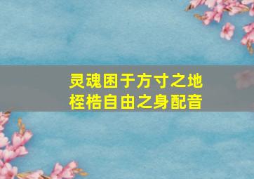 灵魂困于方寸之地桎梏自由之身配音