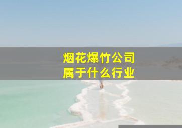 烟花爆竹公司属于什么行业