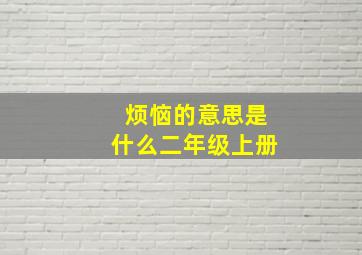 烦恼的意思是什么二年级上册