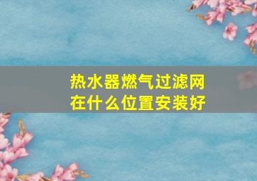 热水器燃气过滤网在什么位置安装好