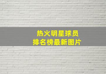 热火明星球员排名榜最新图片