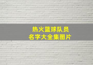 热火篮球队员名字大全集图片