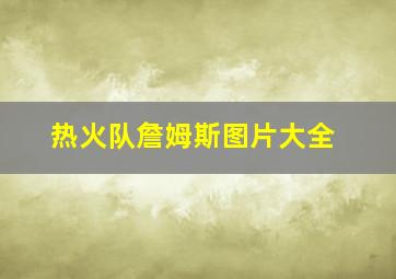 热火队詹姆斯图片大全