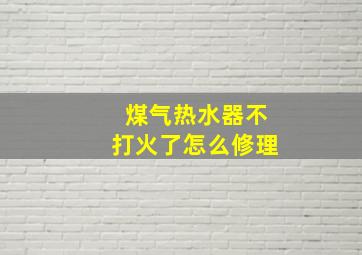 煤气热水器不打火了怎么修理