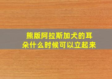 熊版阿拉斯加犬的耳朵什么时候可以立起来