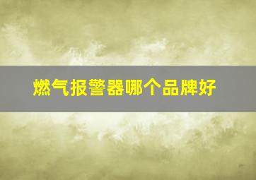 燃气报警器哪个品牌好