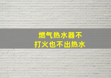 燃气热水器不打火也不出热水