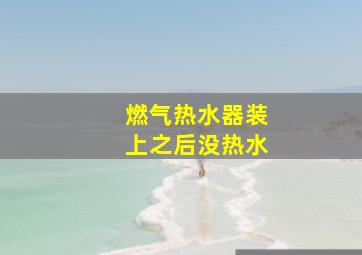 燃气热水器装上之后没热水