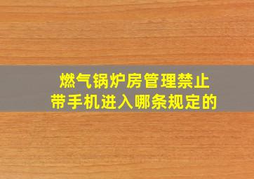 燃气锅炉房管理禁止带手机进入哪条规定的