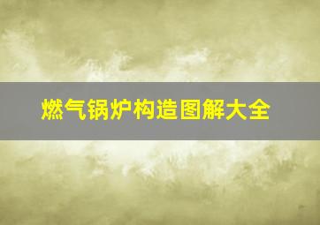 燃气锅炉构造图解大全