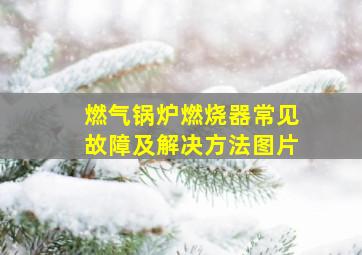 燃气锅炉燃烧器常见故障及解决方法图片