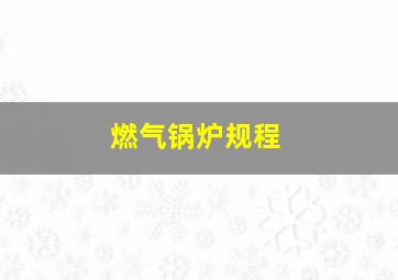 燃气锅炉规程