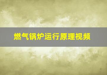 燃气锅炉运行原理视频