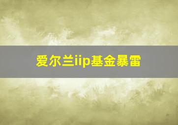 爱尔兰iip基金暴雷