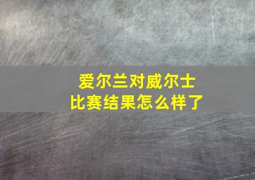 爱尔兰对威尔士比赛结果怎么样了