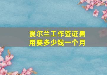 爱尔兰工作签证费用要多少钱一个月