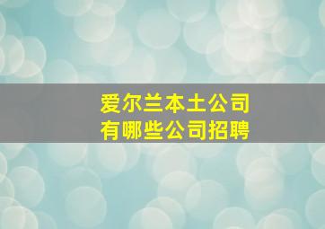 爱尔兰本土公司有哪些公司招聘