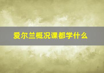 爱尔兰概况课都学什么