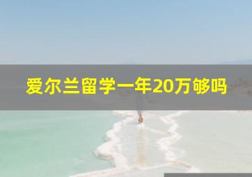 爱尔兰留学一年20万够吗