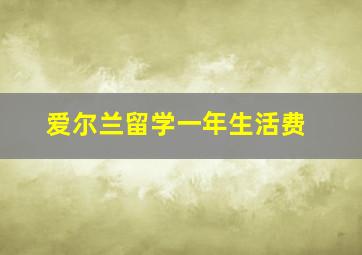 爱尔兰留学一年生活费