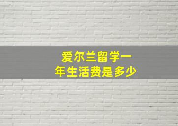 爱尔兰留学一年生活费是多少