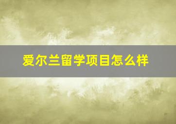 爱尔兰留学项目怎么样