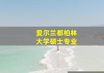 爱尔兰都柏林大学硕士专业