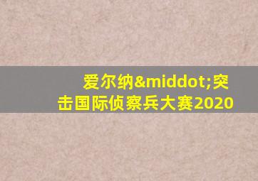 爱尔纳·突击国际侦察兵大赛2020