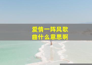 爱情一阵风歌曲什么意思啊