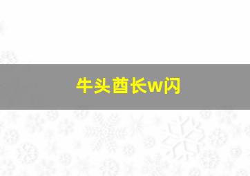 牛头酋长w闪