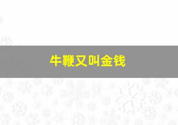 牛鞭又叫金钱