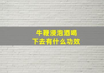 牛鞭浸泡酒喝下去有什么功效