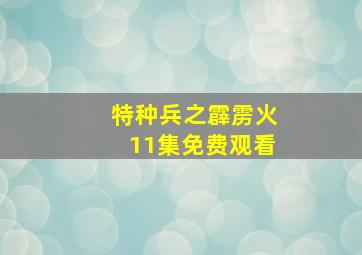 特种兵之霹雳火11集免费观看