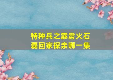 特种兵之霹雳火石磊回家探亲哪一集