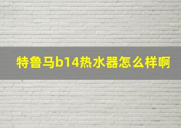 特鲁马b14热水器怎么样啊