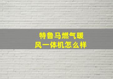 特鲁马燃气暖风一体机怎么样