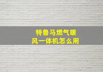 特鲁马燃气暖风一体机怎么用