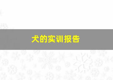 犬的实训报告