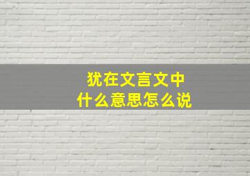 犹在文言文中什么意思怎么说