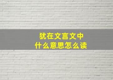 犹在文言文中什么意思怎么读