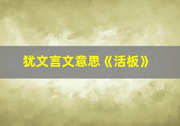 犹文言文意思《活板》