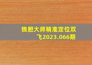 独胆大师精准定位双飞2023.066期