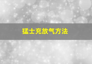 猛士充放气方法