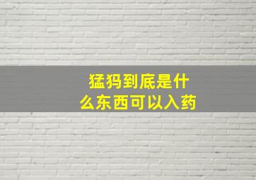 猛犸到底是什么东西可以入药