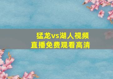 猛龙vs湖人视频直播免费观看高清