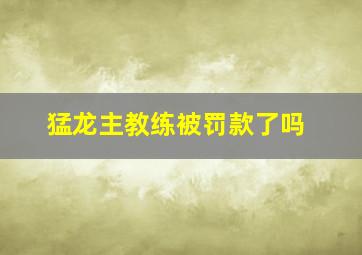 猛龙主教练被罚款了吗