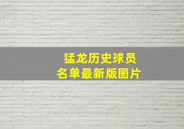 猛龙历史球员名单最新版图片