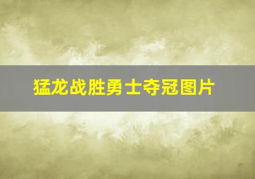 猛龙战胜勇士夺冠图片