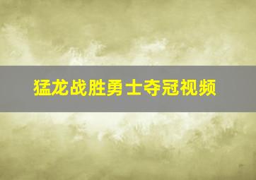 猛龙战胜勇士夺冠视频