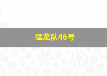 猛龙队46号